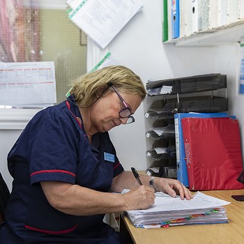Meryl at the desk writing a report at Cartref Bryn yr Eglwys