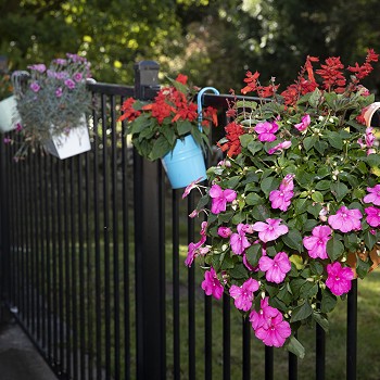 Flowers at Cartref Bryn yr Eglwys