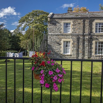 Gardens and flowers at Cartref Bryn yr Eglwys