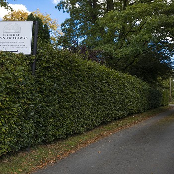 Driveway for Cartref Bryn yr Eglwys